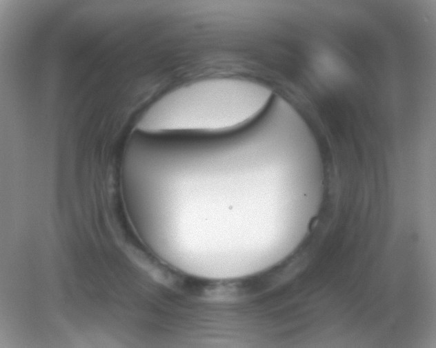 X0000082970362200702011148