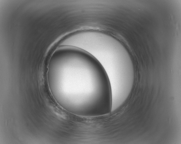 X0000082970388200702011148