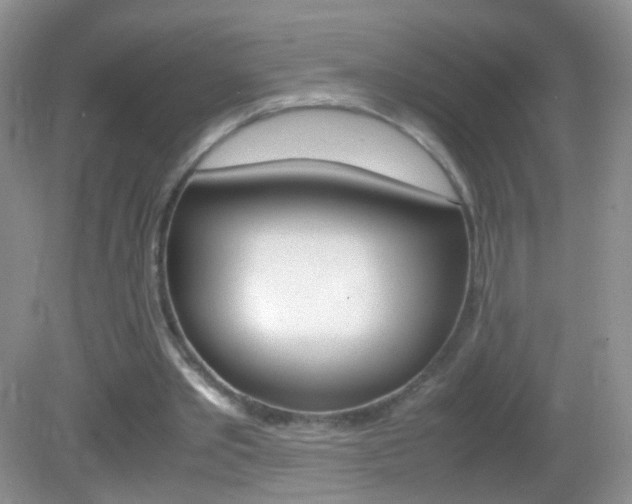 X0000082970389200702011148
