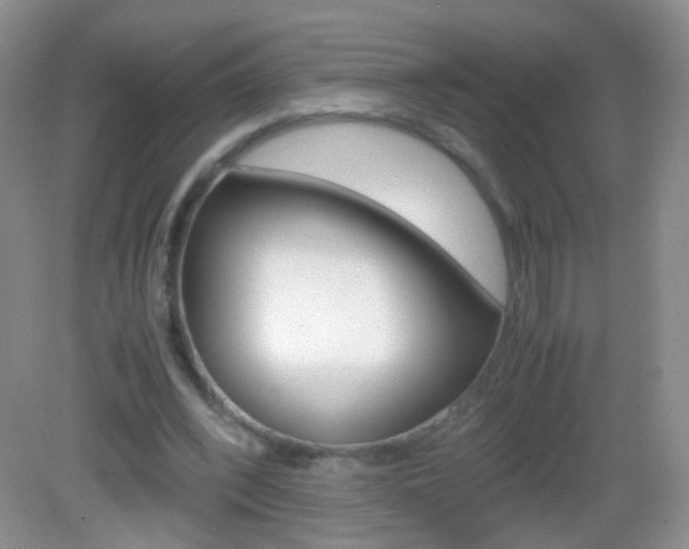 X0000082970392200702011148