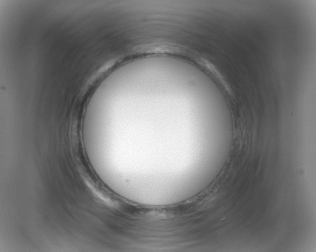 X0000082970394200702011148