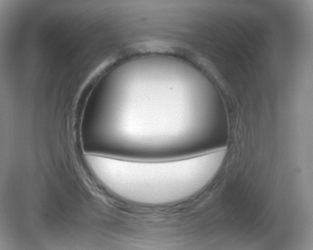 X0000082970395200702011148