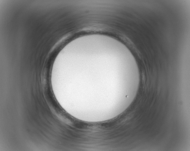 X0000082970396200702011148