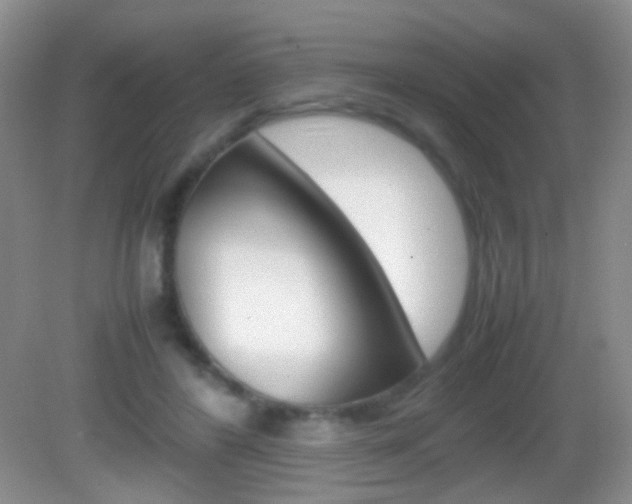 X0000082970404200702011147