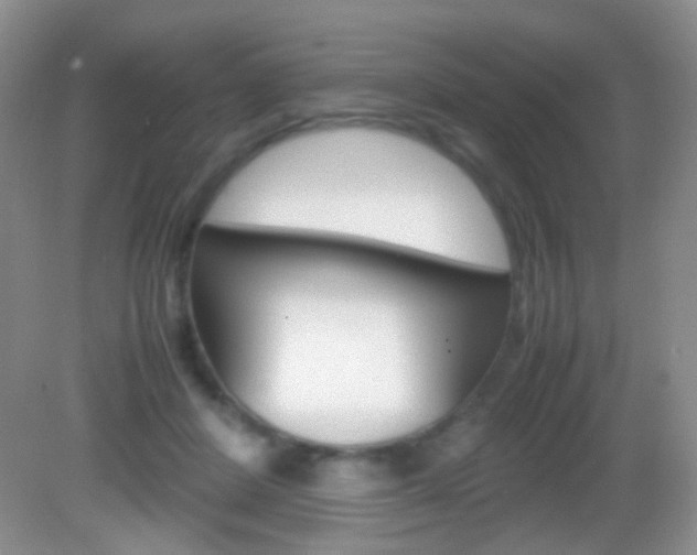X0000082970408200702011147