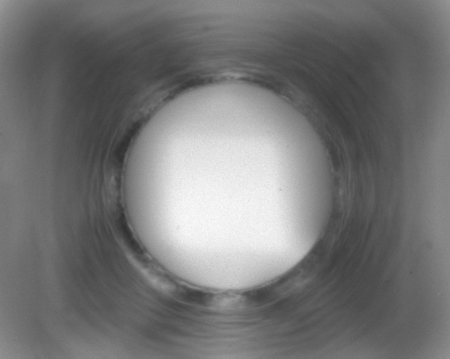 X0000082970410200702011147
