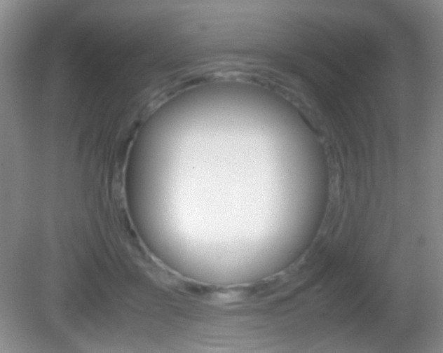 X0000082970411200702011147