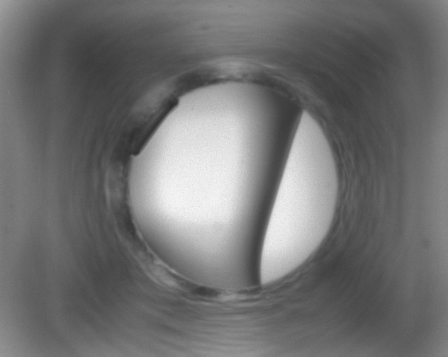 X0000082970413200702011147