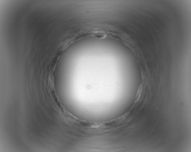 X0000082970415200702011147