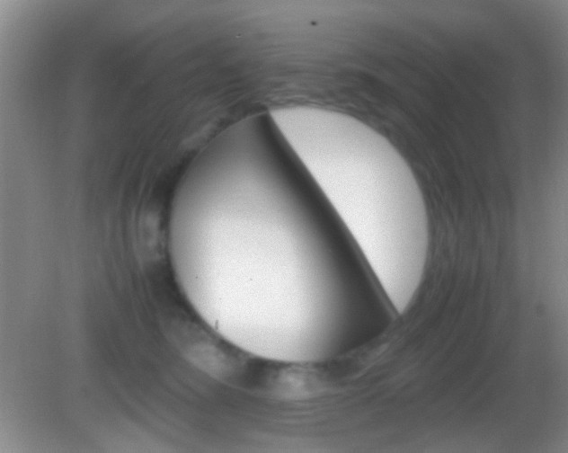X0000082970420200702011147