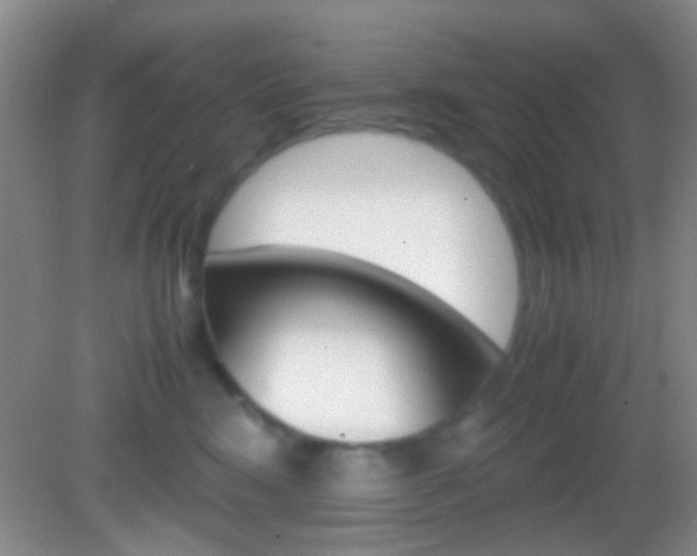 X0000082970424200702011147