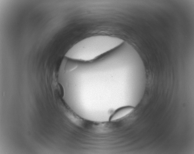 X0000082970430200702011147
