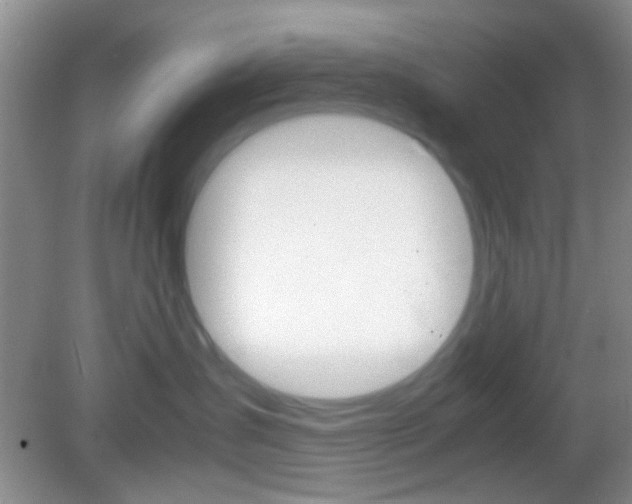 X0000082970431200702011147
