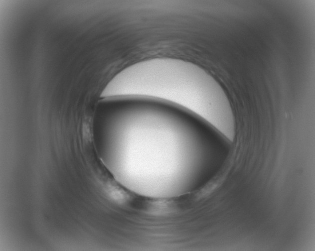 X0000082970432200702011147