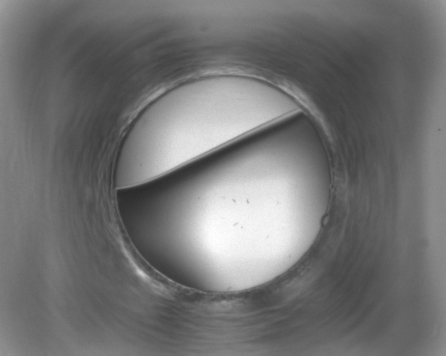 X0000082970433200702011146