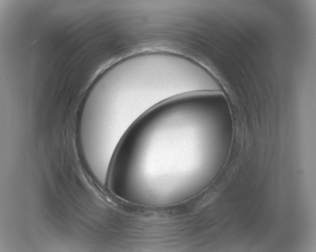 X0000082970434200702011146