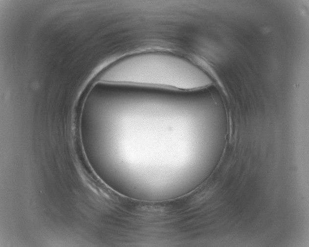 X0000082970435200702011146