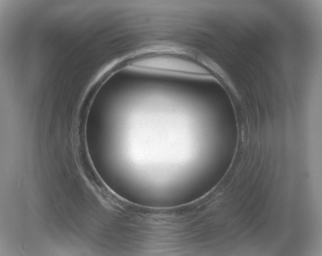 X0000082970436200702011146