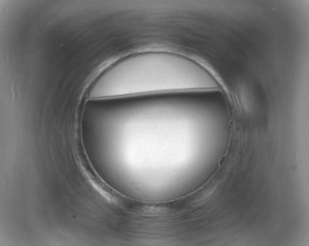 X0000082970437200702011146