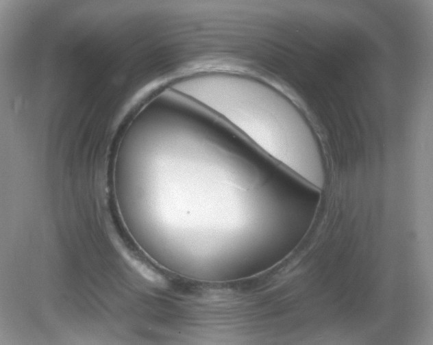 X0000082970438200702011146