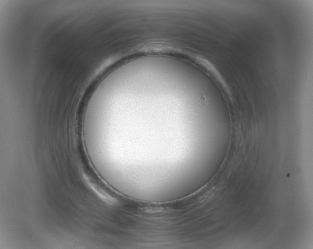 X0000082970439200702011146