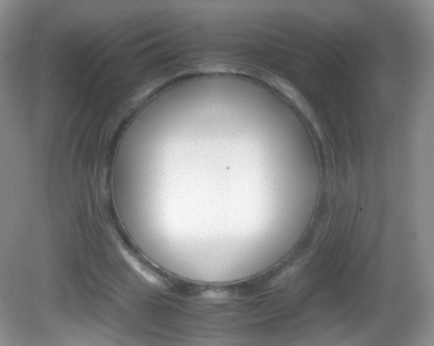 X0000082970441200702011146