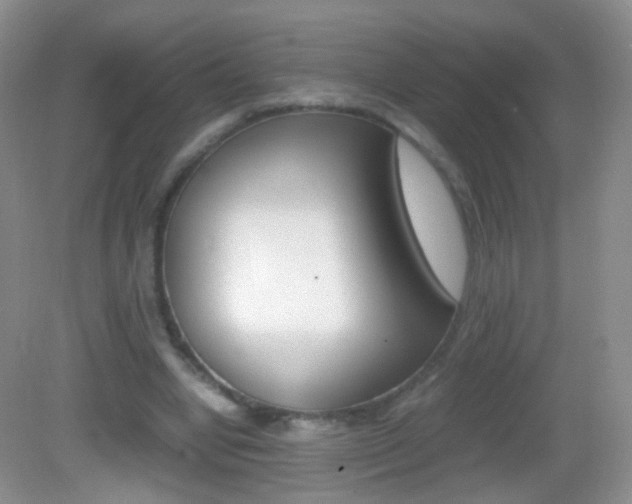 X0000082970442200702011146