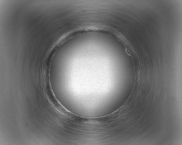 X0000082970444200702011146