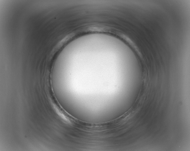 X0000082970445200702011146