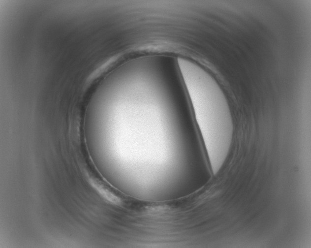 X0000082970446200702011146