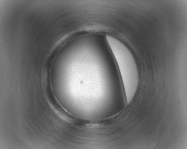 X0000082970448200702011146