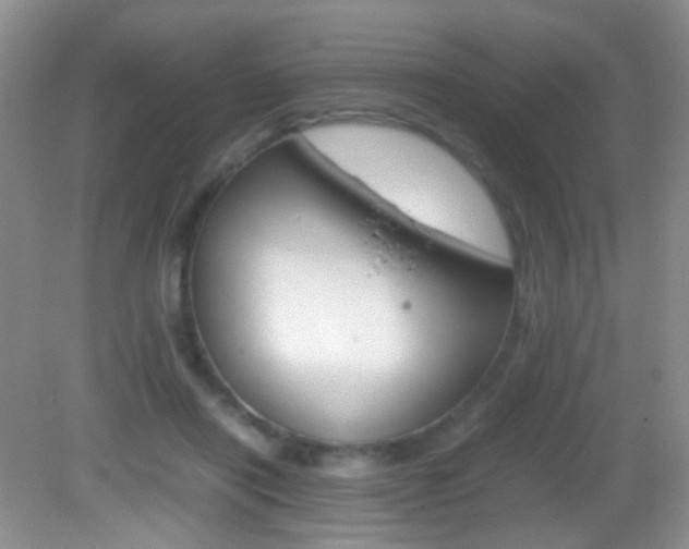 X0000082970454200702011147