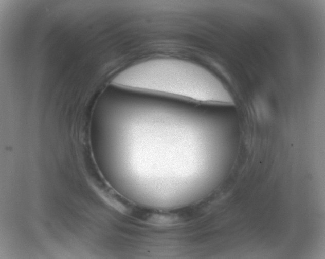X0000082970455200702011147
