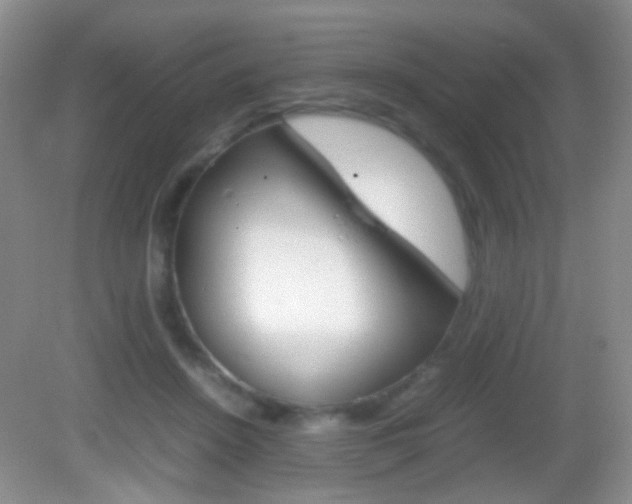X0000082970456200702011147