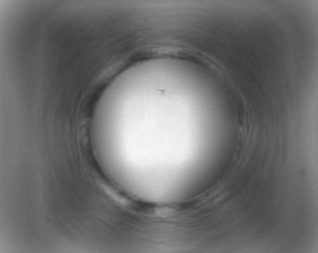 X0000082970462200702011147