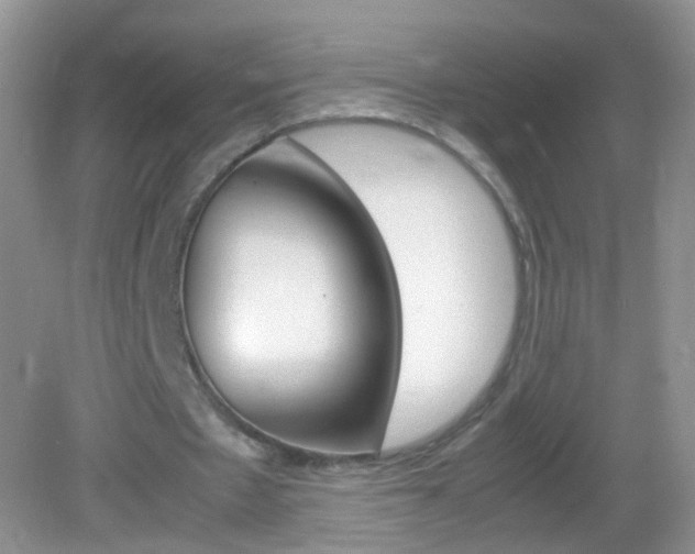 X0000082970481200702011146