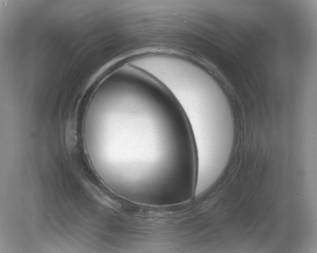 X0000082970484200702011146