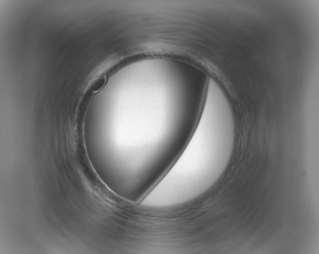 X0000082970488200702011146