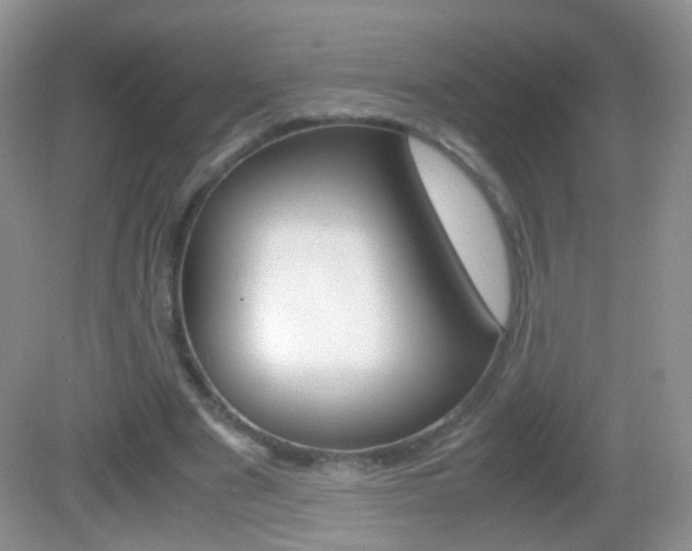X0000082970489200702011146