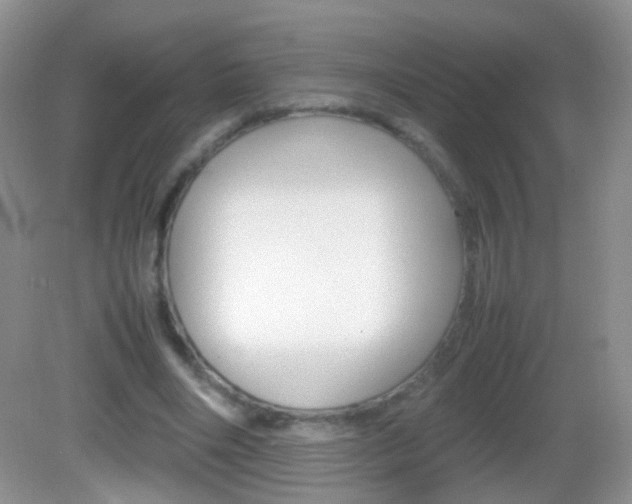 X0000082970490200702011146
