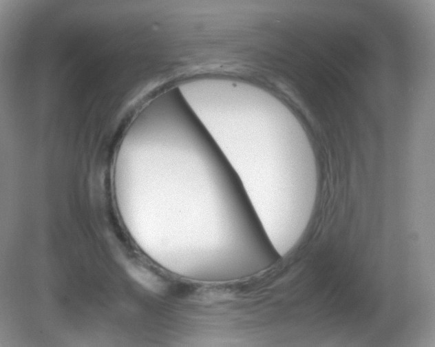 X0000082970491200702011146