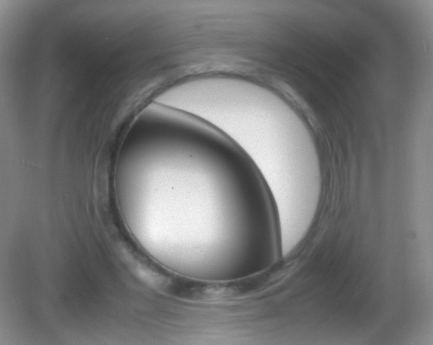 X0000082970493200702011146