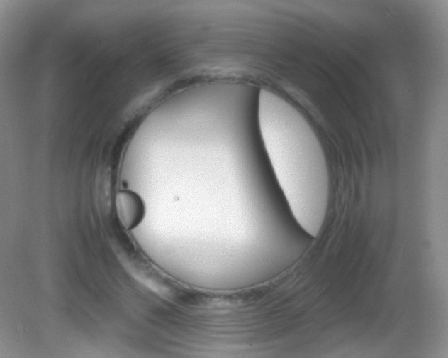 X0000082970494200702011146