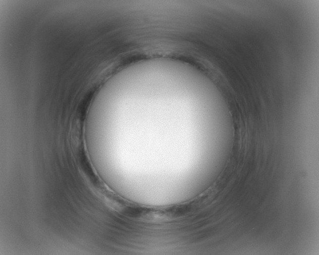 X0000082970498200702011146