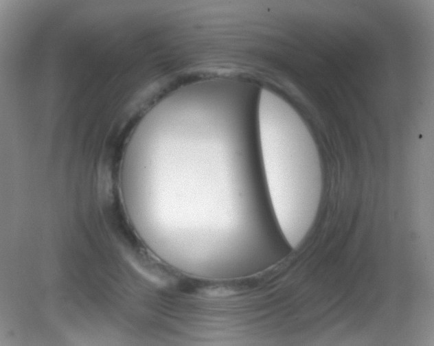 X0000082970500200702011146