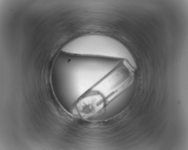X0000082970504200702011146
