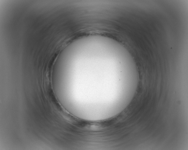 X0000082970506200702011146