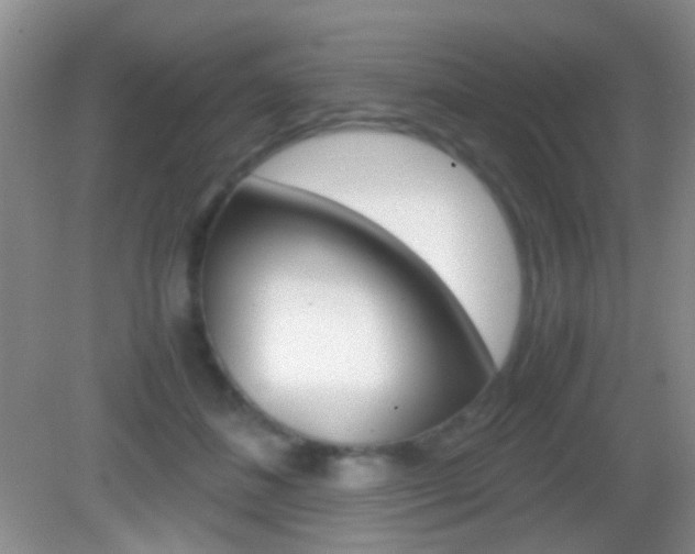 X0000082970508200702011146