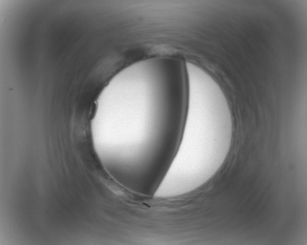 X0000082970517200702011146