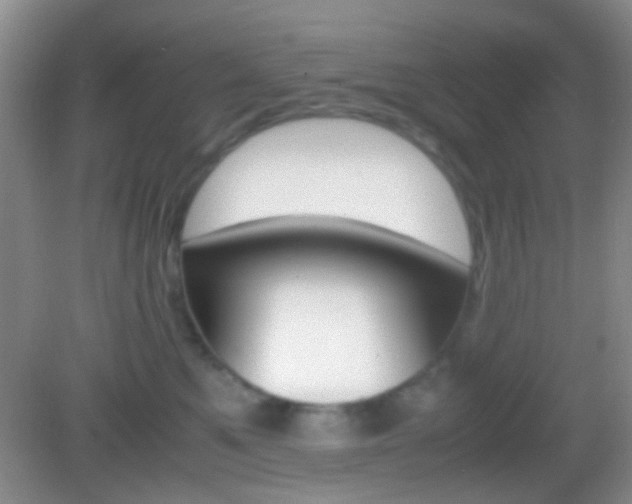 X0000082970521200702011146